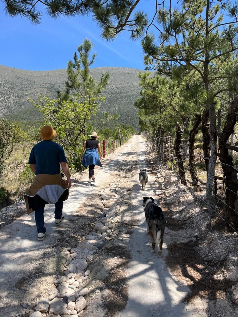 Camping En La Sierra De Arteaga Los Lirios ภายนอก รูปภาพ