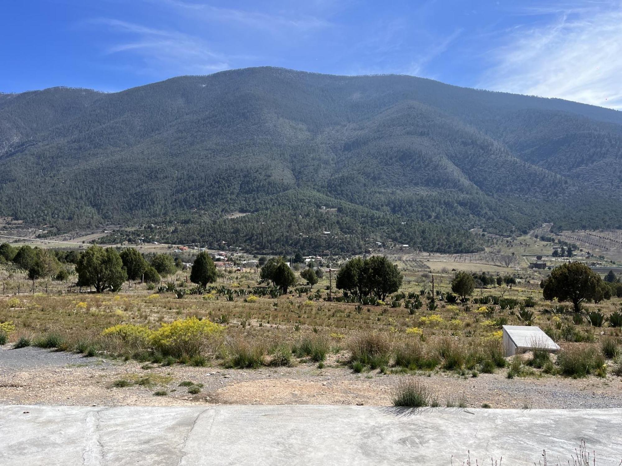 Camping En La Sierra De Arteaga Los Lirios ภายนอก รูปภาพ