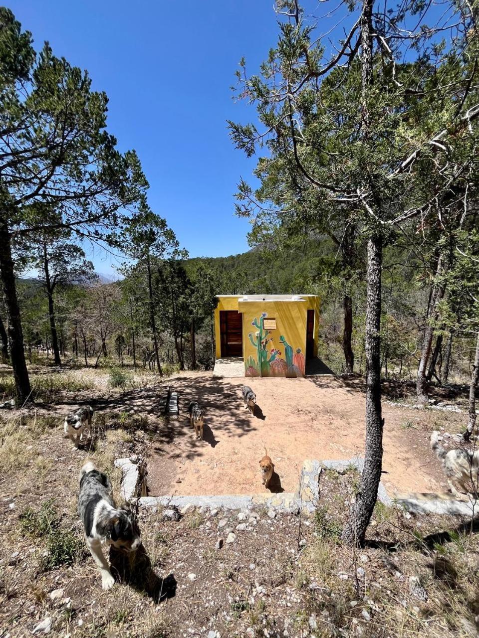 Camping En La Sierra De Arteaga Los Lirios ภายนอก รูปภาพ