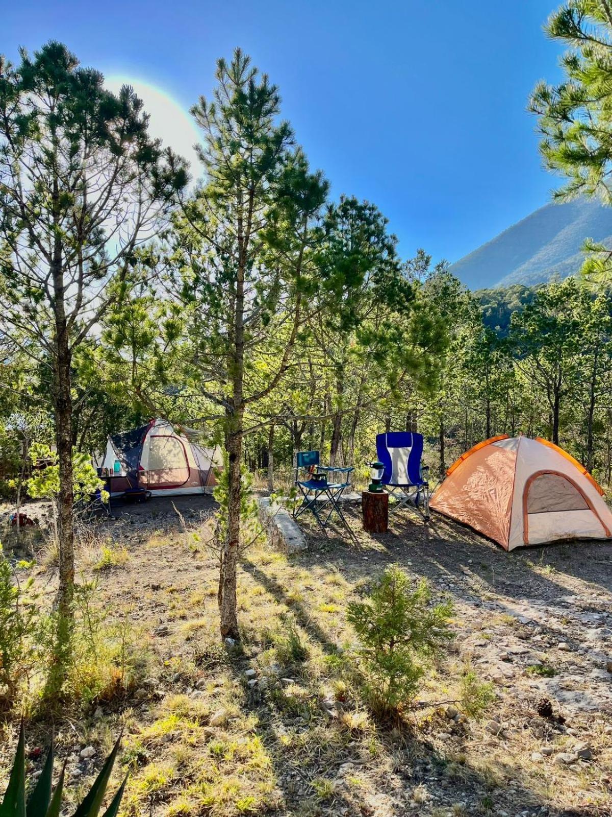 Camping En La Sierra De Arteaga Los Lirios ภายนอก รูปภาพ